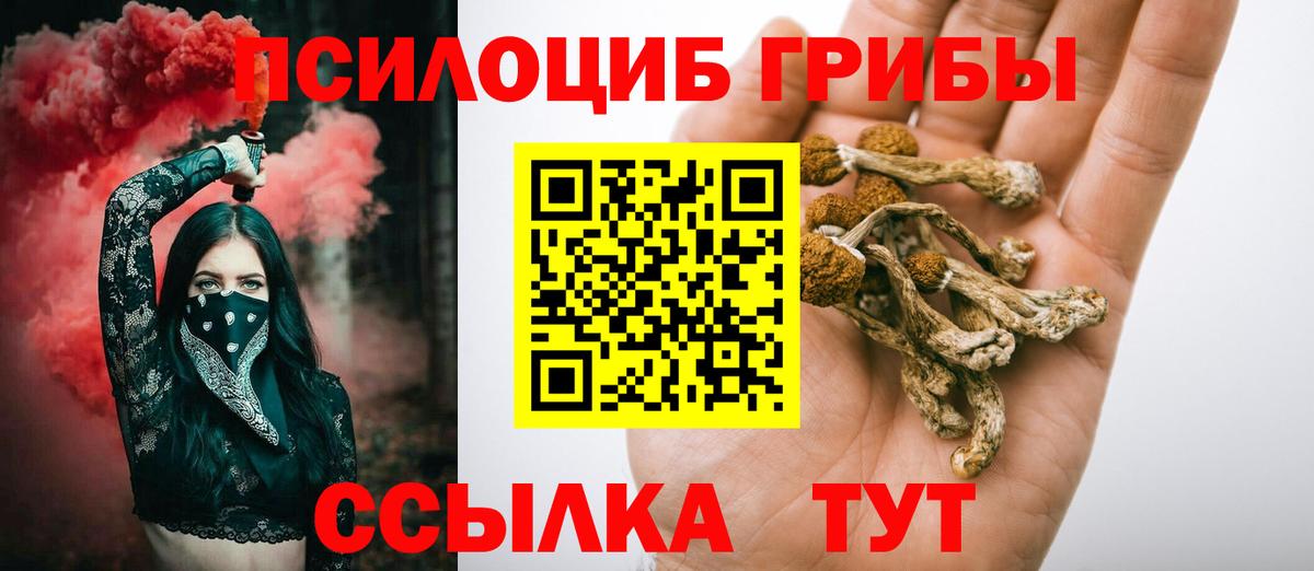 Псилоцибиновые грибы Psilocybine cubensis  Вход с VPN  Псилоцибиновые грибы Psilocybe  Верхняя Салда 